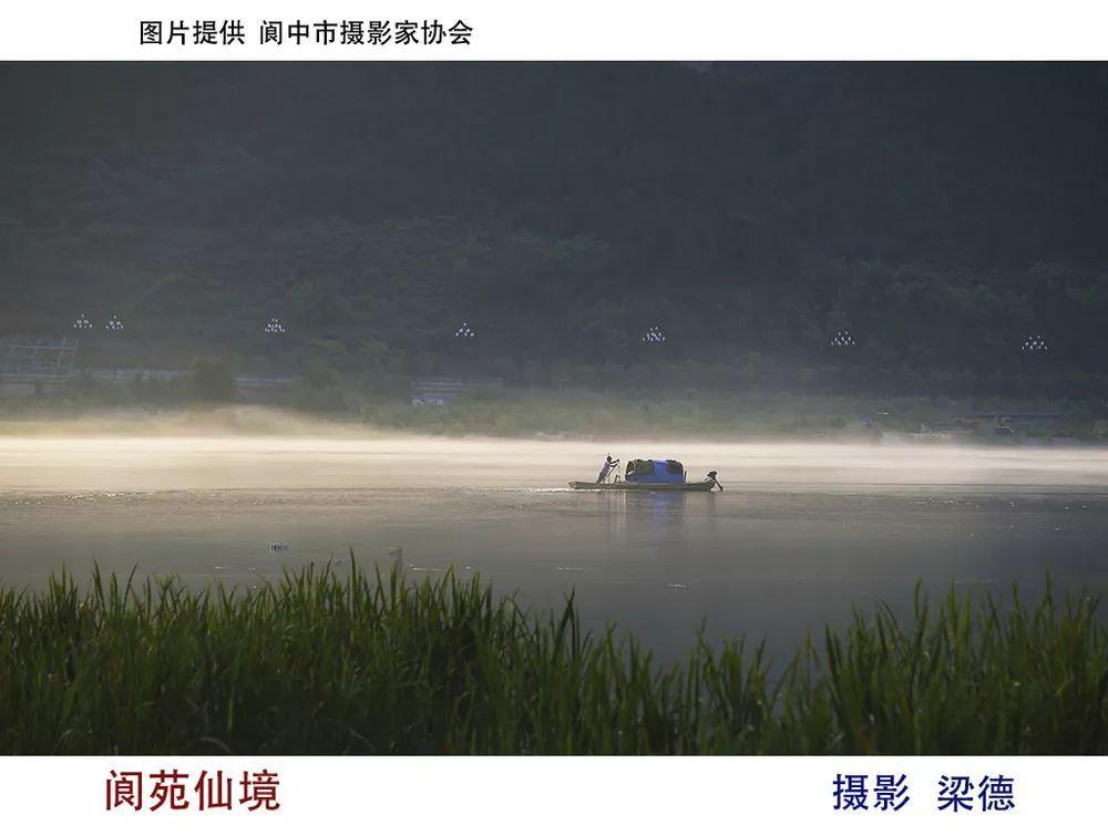 逃离外星人森林