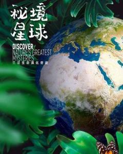 这只冠军基金四季报出炉，隆基绿能成头号重仓股