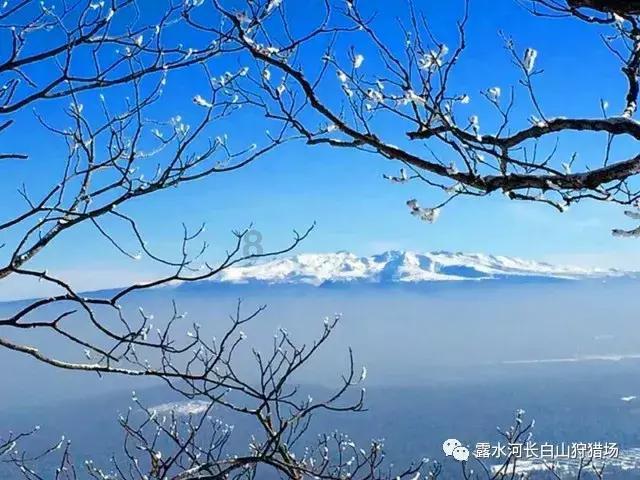 周鸿祎、傅盛决裂16年后首度同台:过去都不算事,要往前看,AI大模型机会还很多