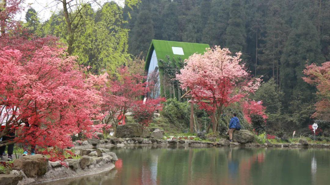 熊出没夺宝历险