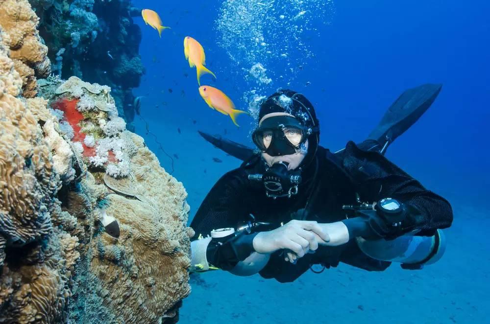 甘肃:文化和旅游持续提质增效