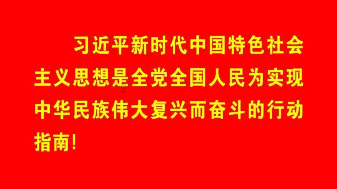 猫咪一天不拉屎正常么游戏画面