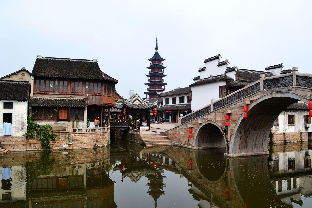 拯救小松鼠