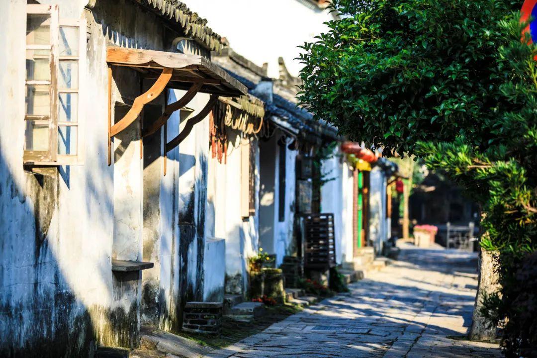 康养产业引进村 振兴乡村有“新招”